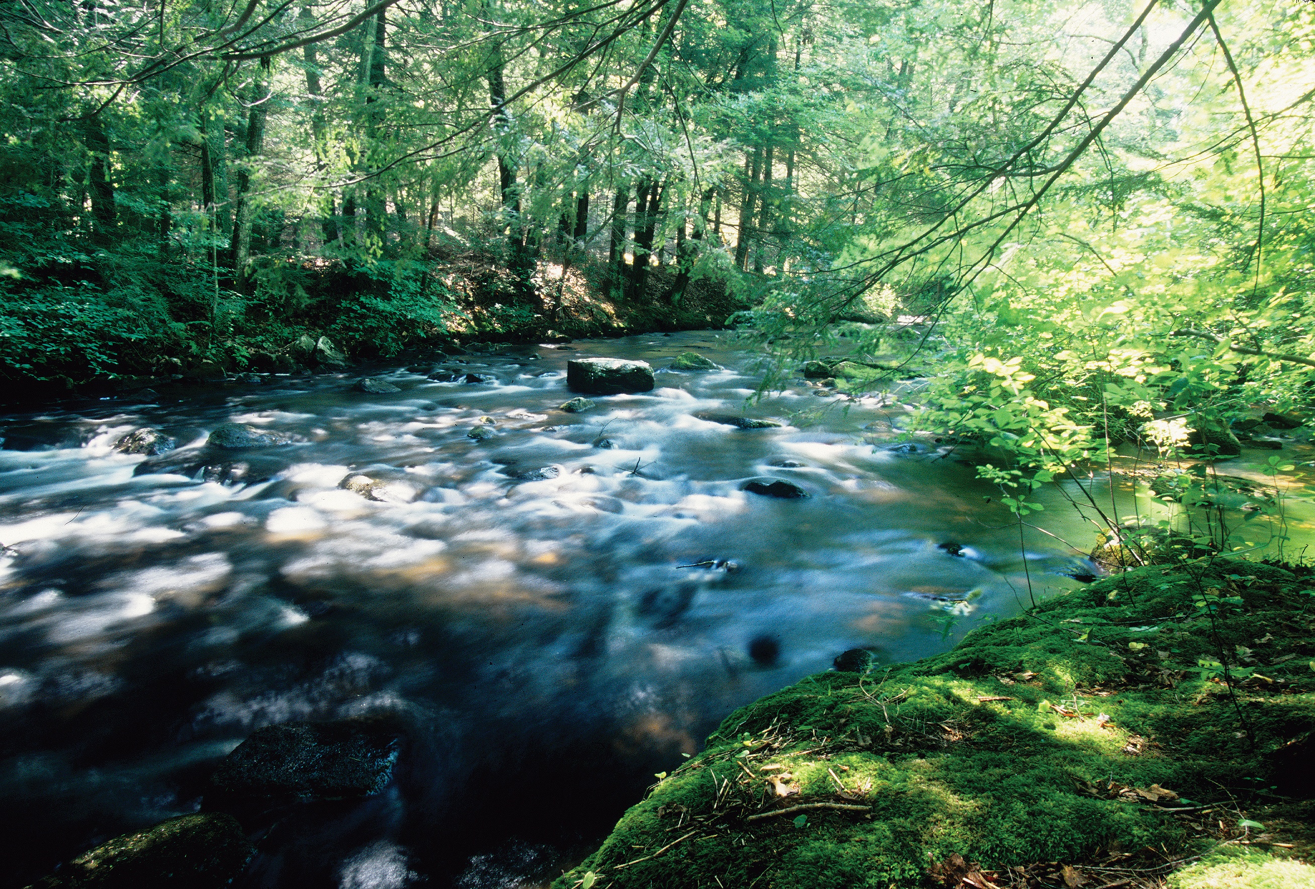 Quaboag River - Quinebaug Woods - Long's Jewelers Hike Proposal