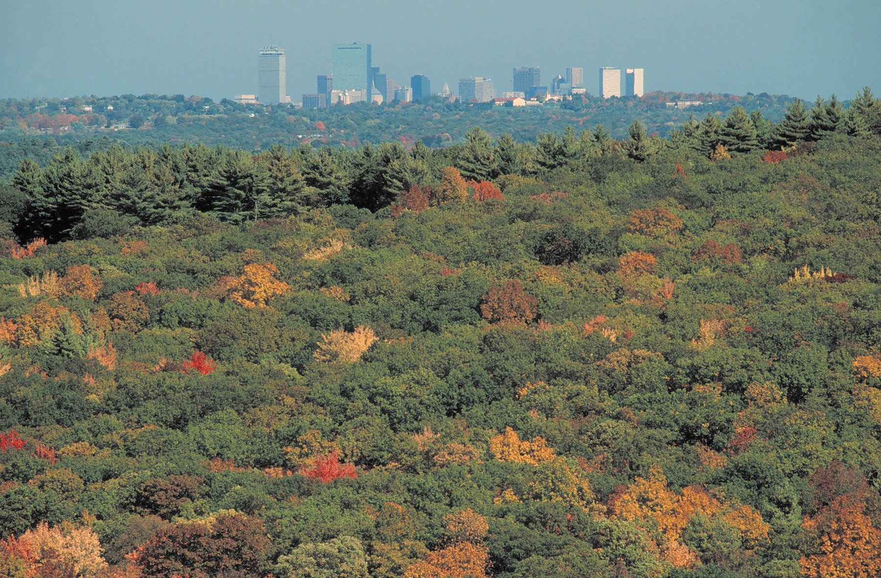 Noanet Peak - Noanet Woodlands - Long's Jewelers Hike Proposal