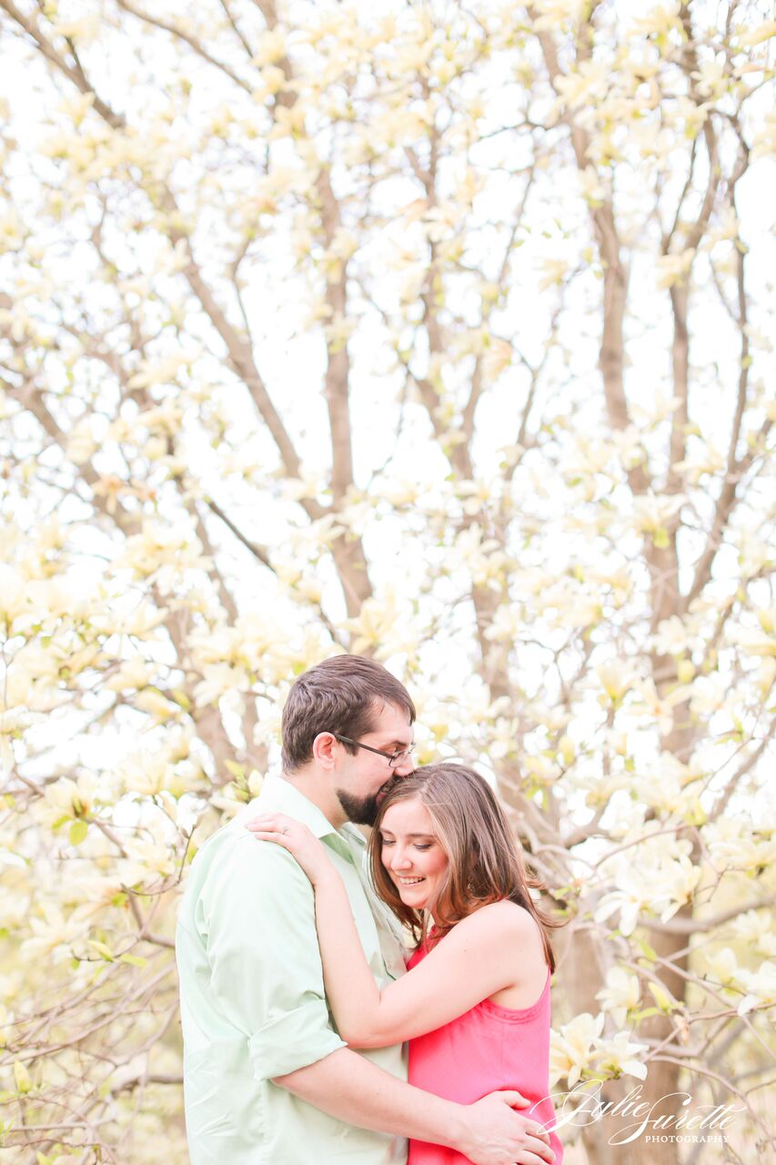 Julie Surette Photography- Arnold Arboretum